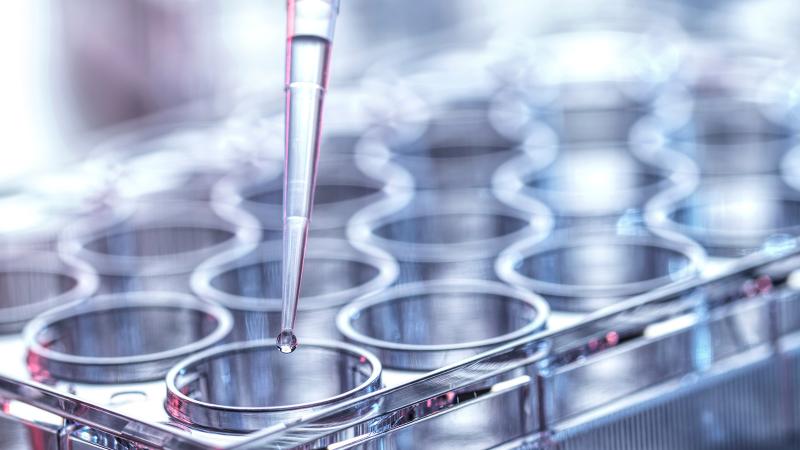 Why conduct your trial in Australia